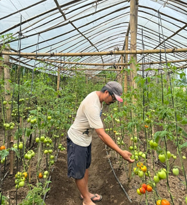Farming Dreams